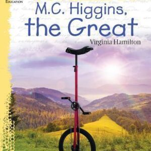 M.C. Higgins, the Great Leveled Comprehension Questions