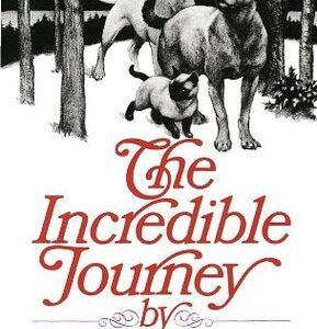 The Incredible Journey